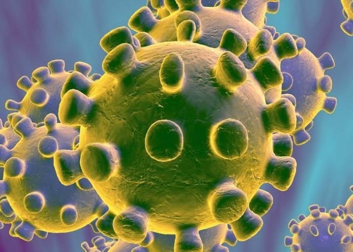Brasil tem 621 casos de coronavírus e transmissão sustentada muda atendimento em postos, diz ministério